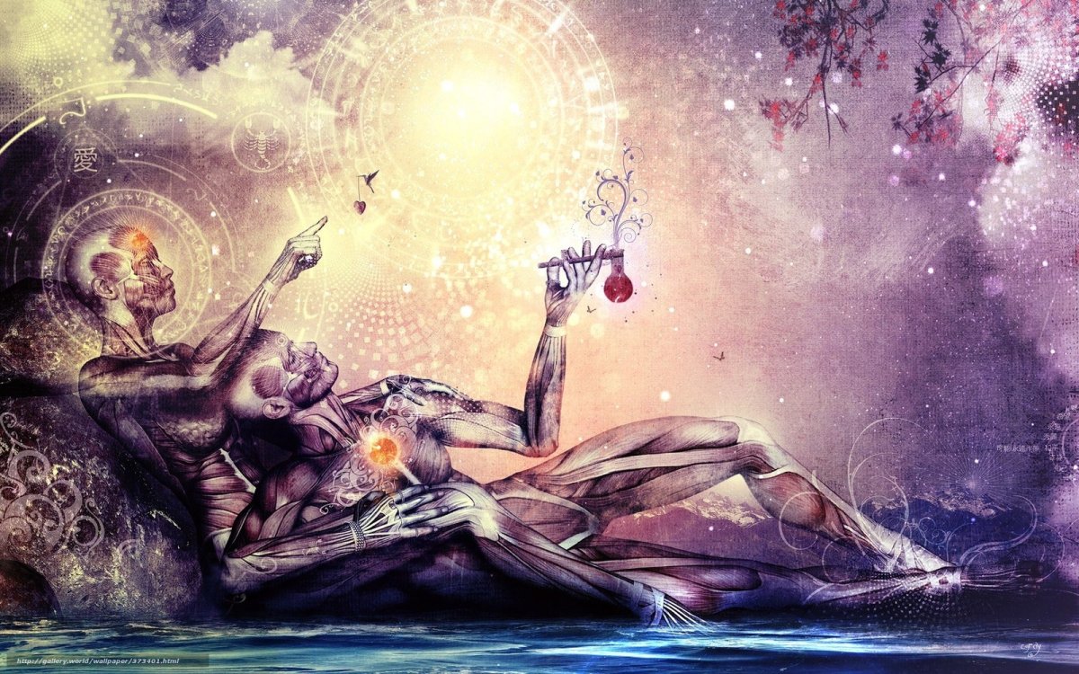 Камерон грей художник