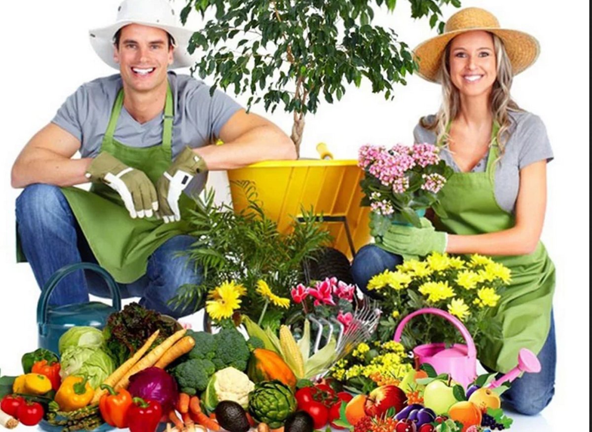 С днём дачника и огородника