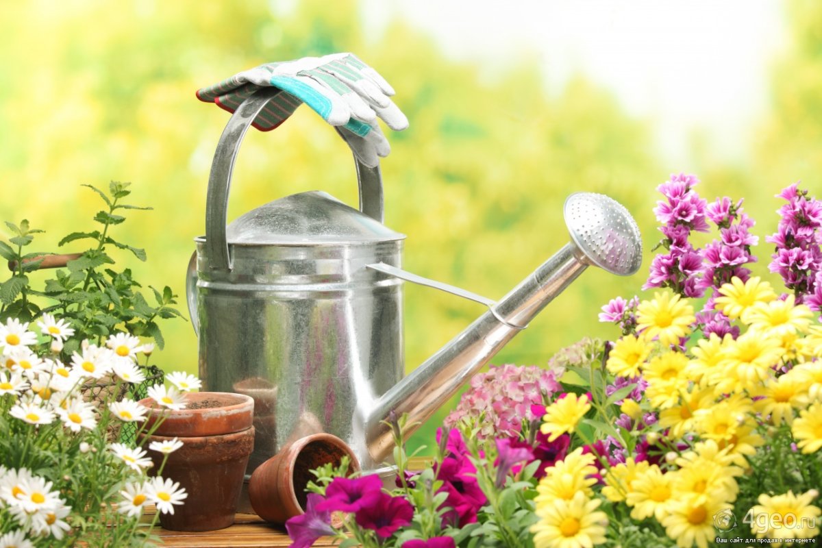 Товары для сада и огорода