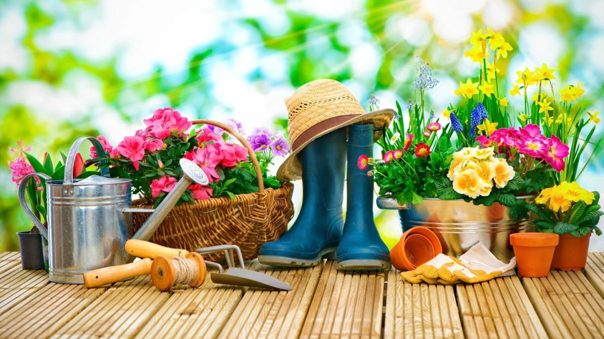 Товары для сада и огорода