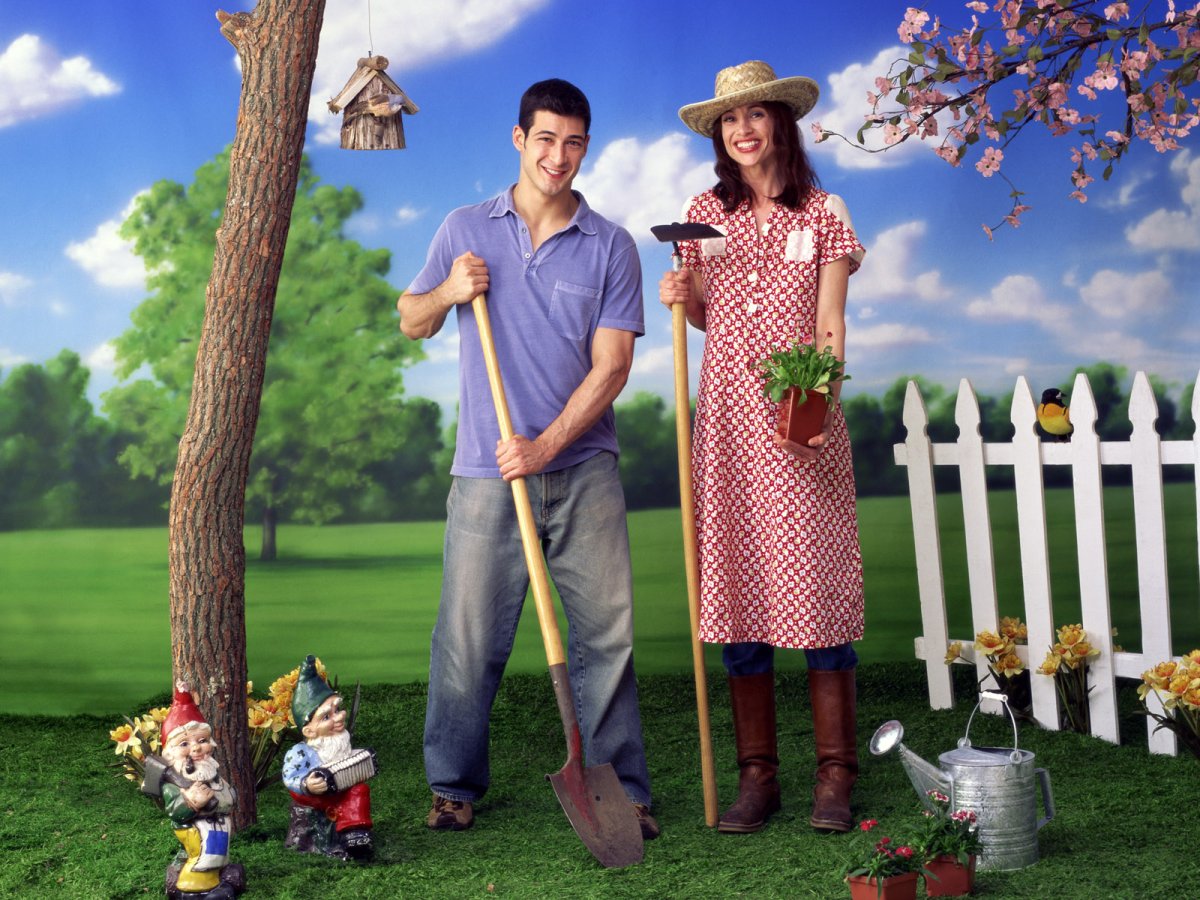 Дачный баннер