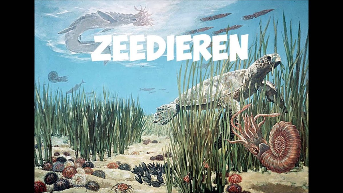 Мезозойская Эра Триасовый Юрский