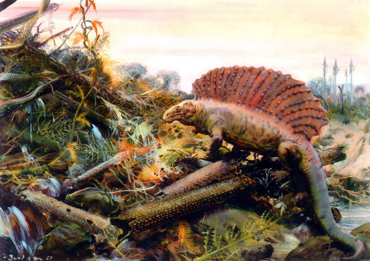 Пермский период палеозойской эры