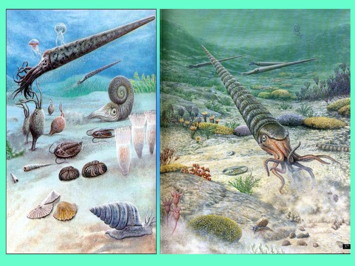 Эры мезозой палеозой