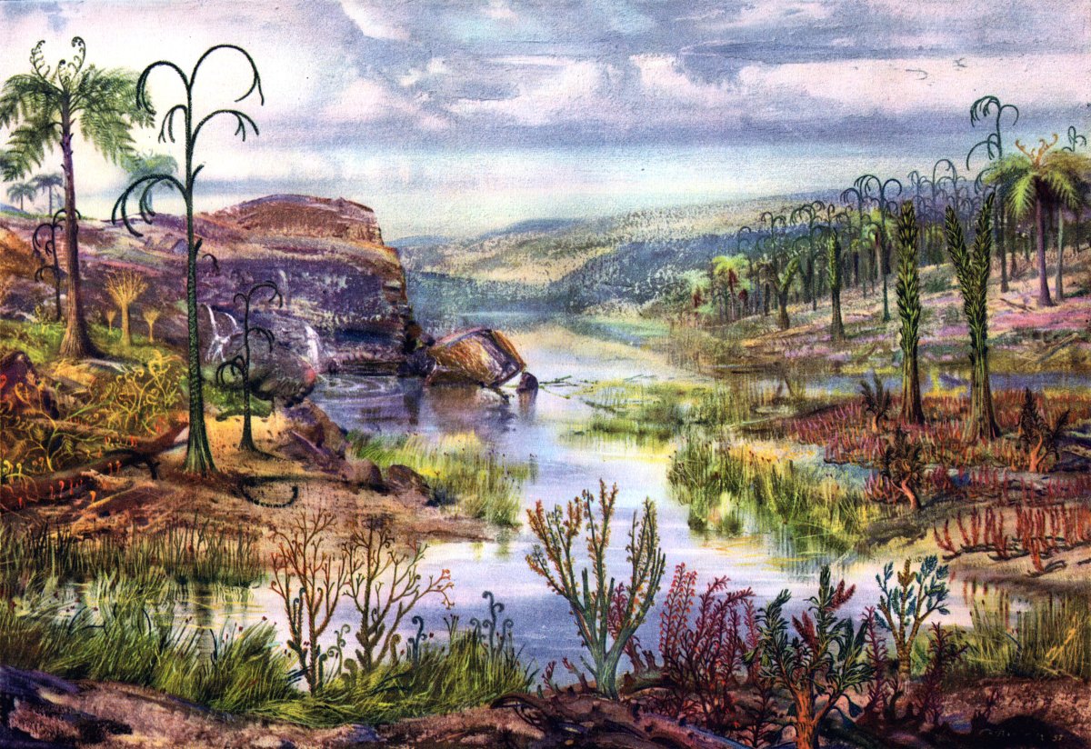 Эволюция растительного и животного мира в палеозойскую эру