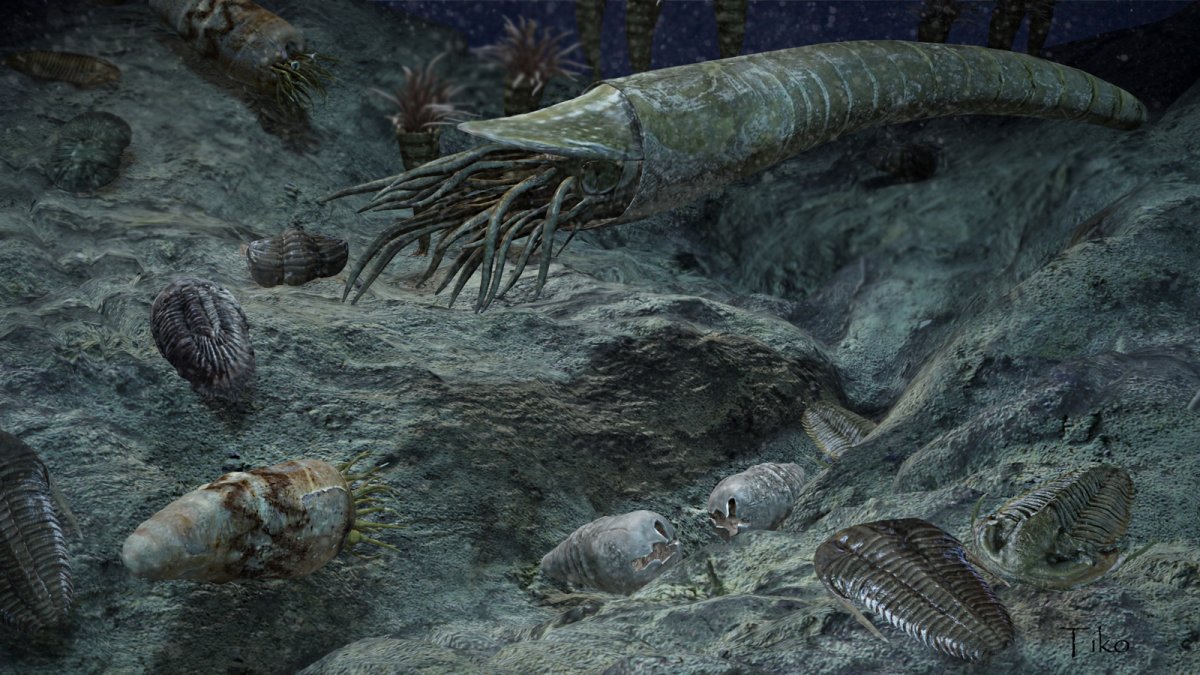 Мезозойская Эра Триасовый Юрский