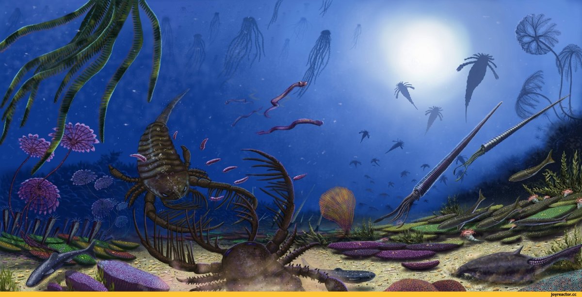 Суперконтинент Гондвана и Лавразия