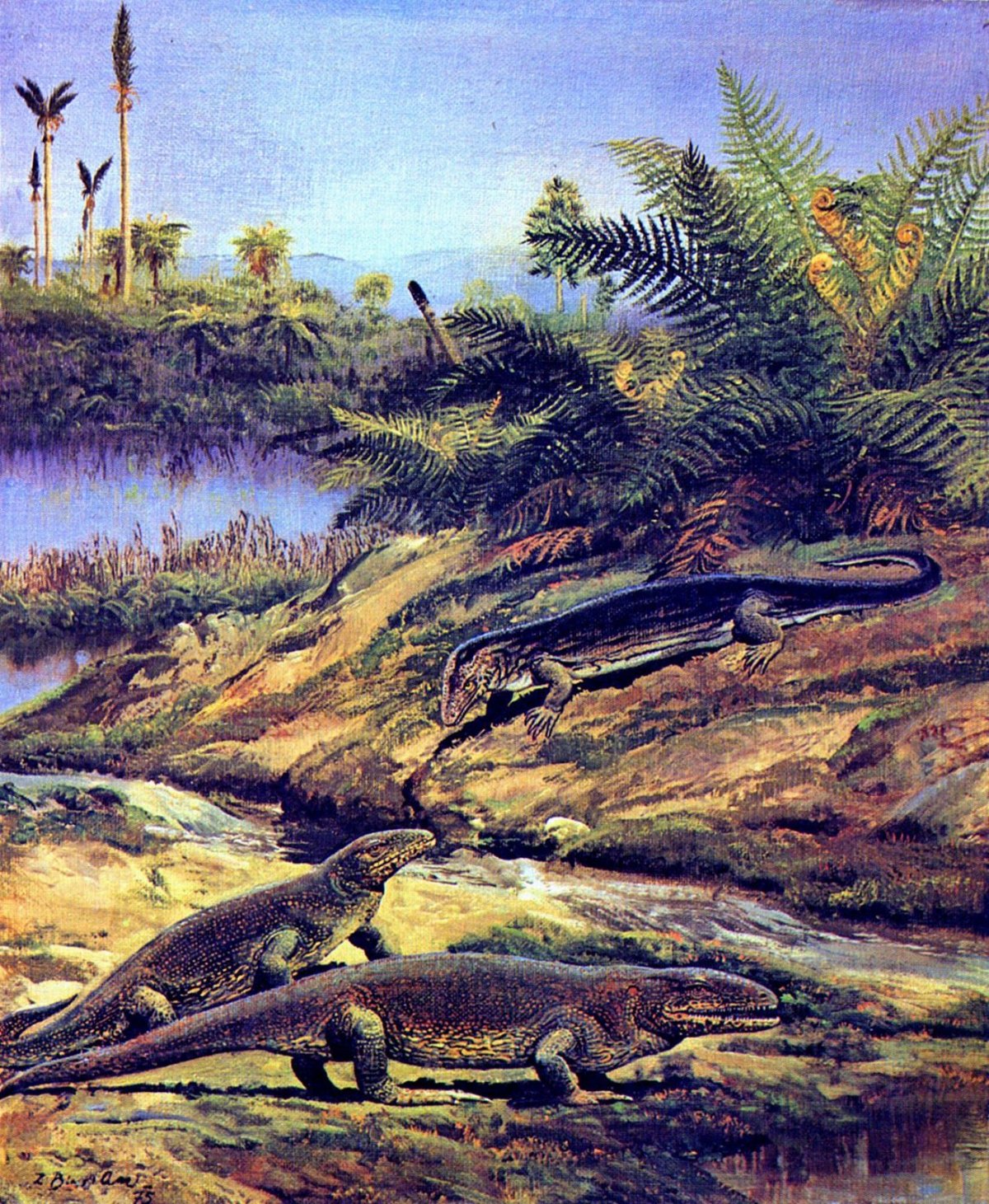 Кембрийский ордовикский силурийский