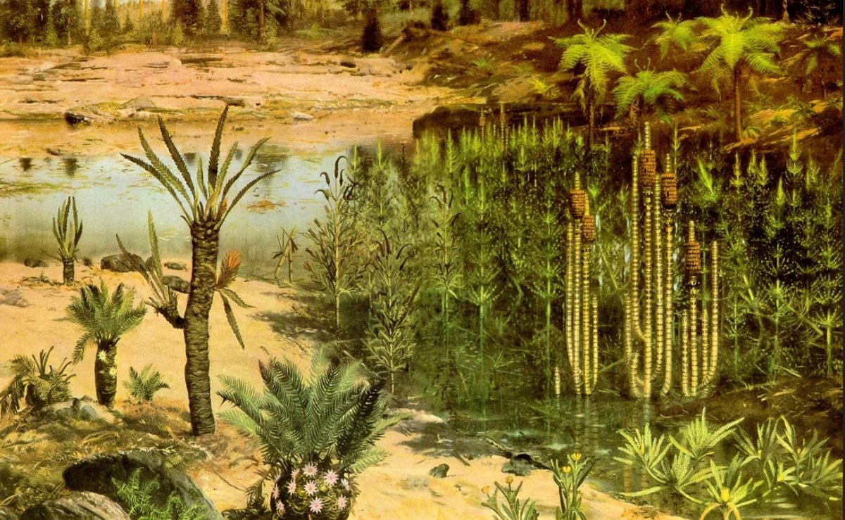 Девонский период палеозойской эры