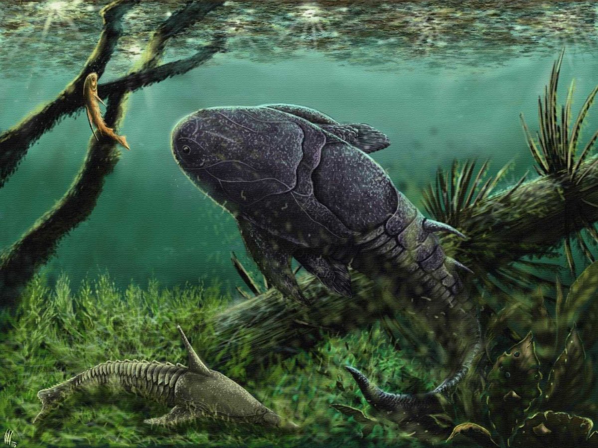 Ракоскорпион Ордовик