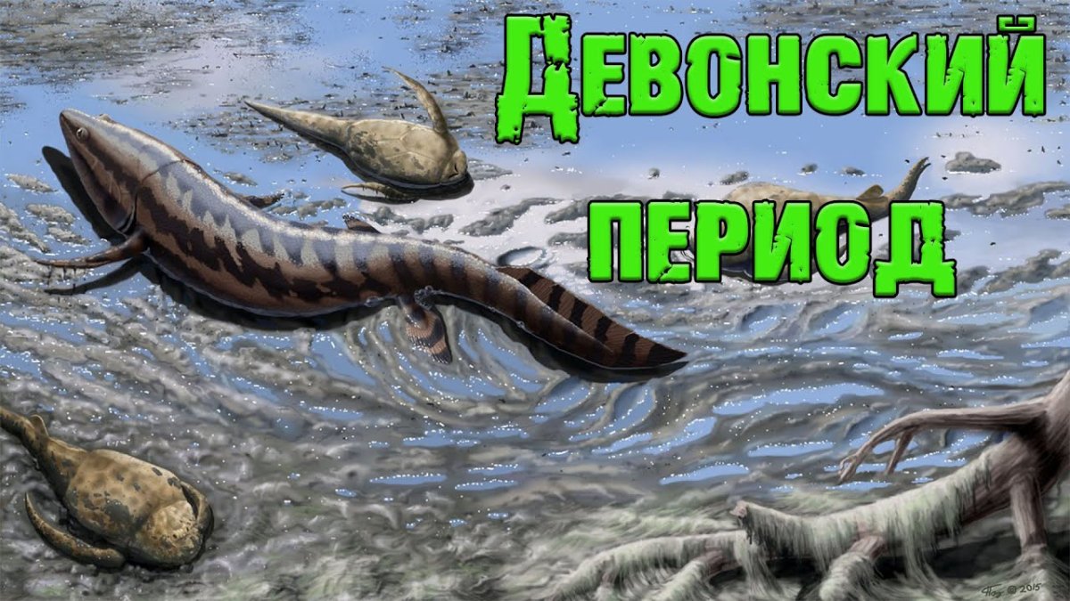 Палеозойская Эра ордовикский период