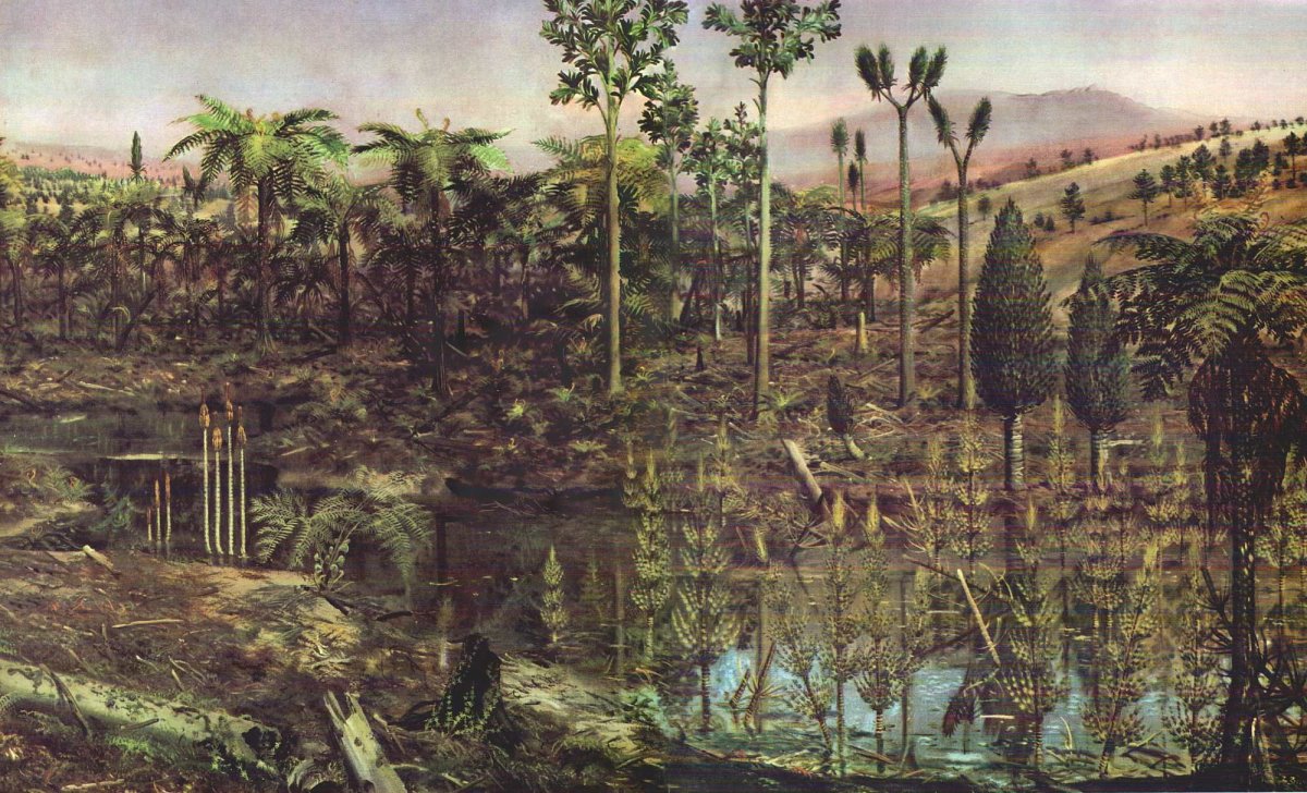 Палеозойская Эра силурийский период животные