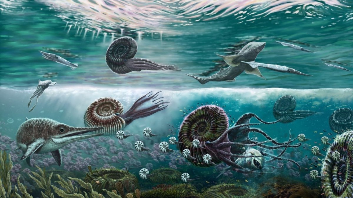 Мезозойская Эра Триасовый Юрский