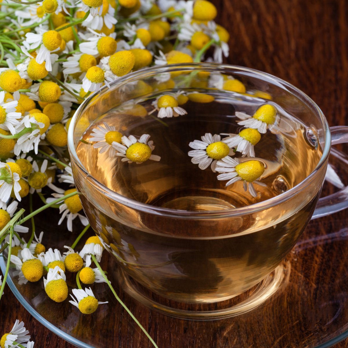 Травяной чай из ромашки