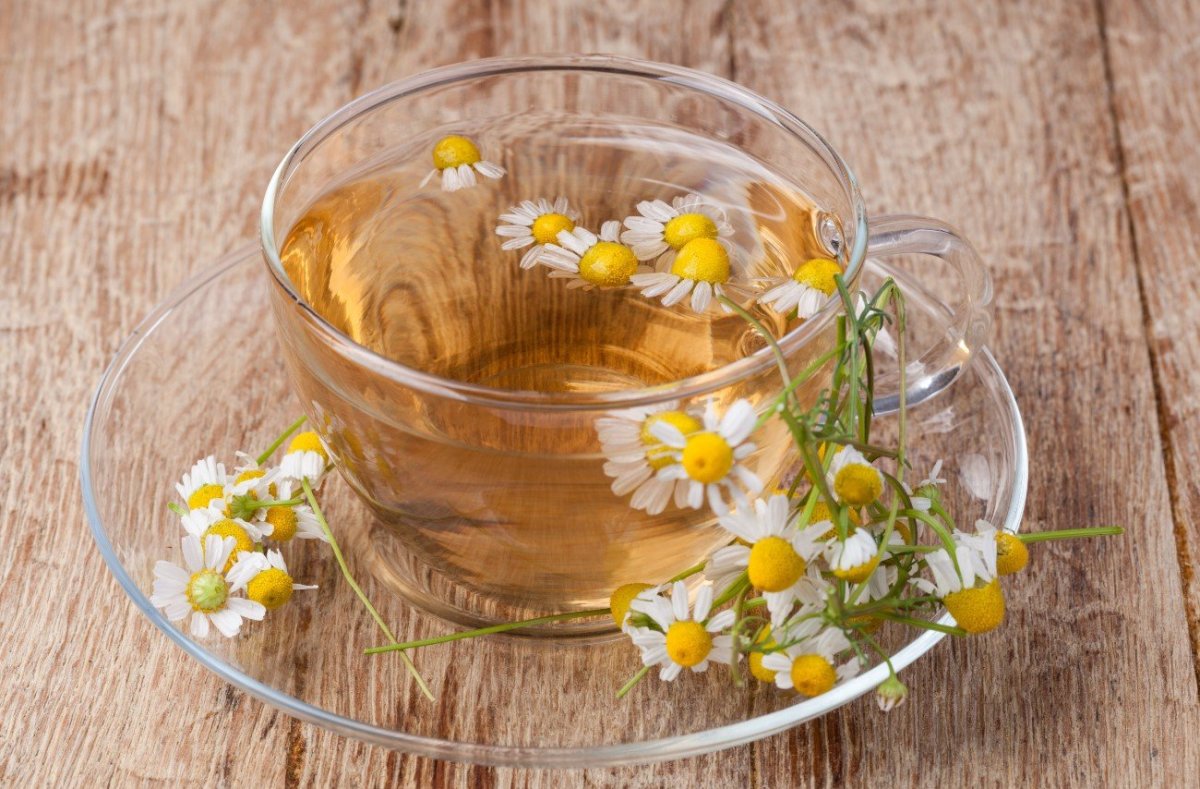 Чай из ромашки