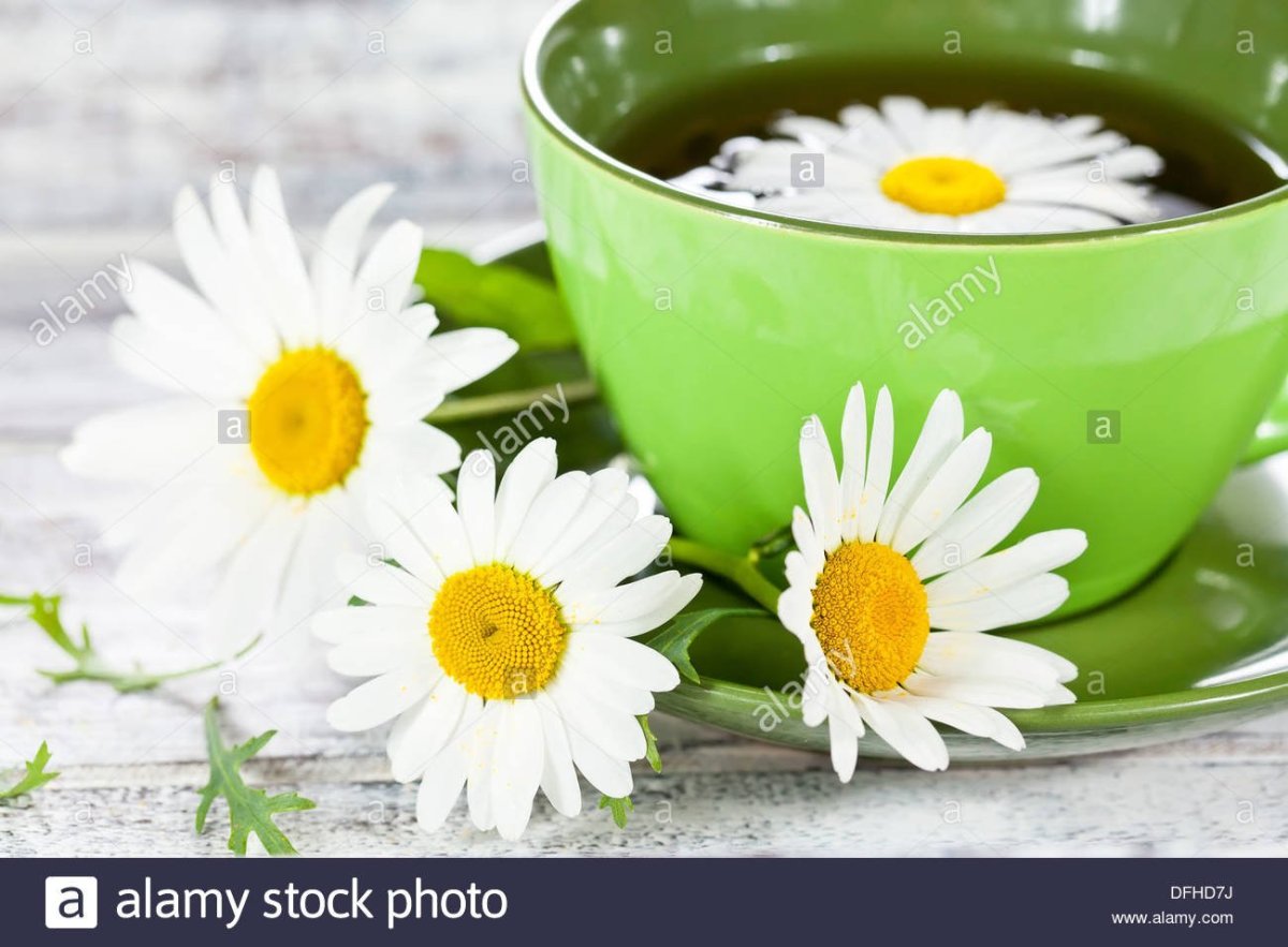 Чай "Ромашка"