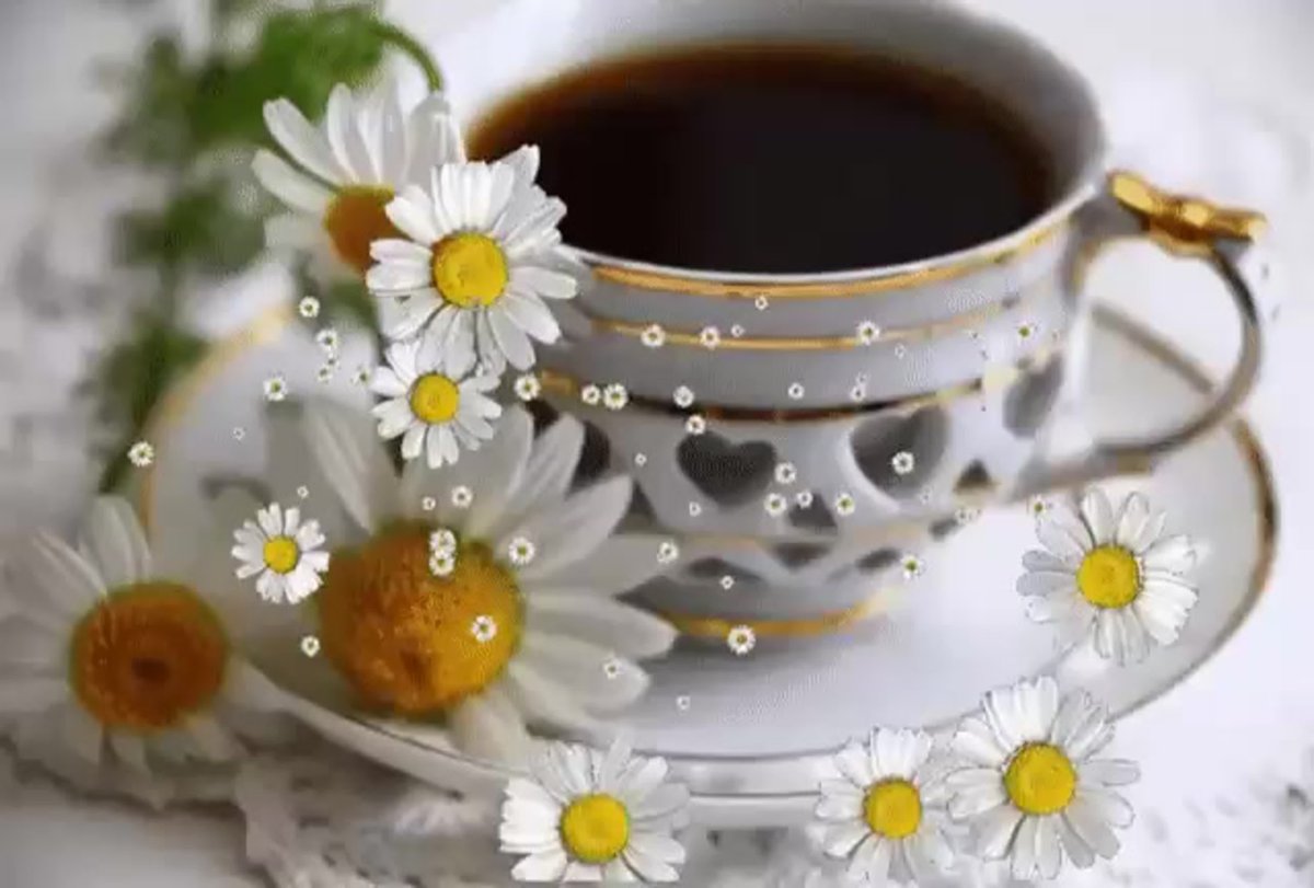 Чашка чая с ромашкой