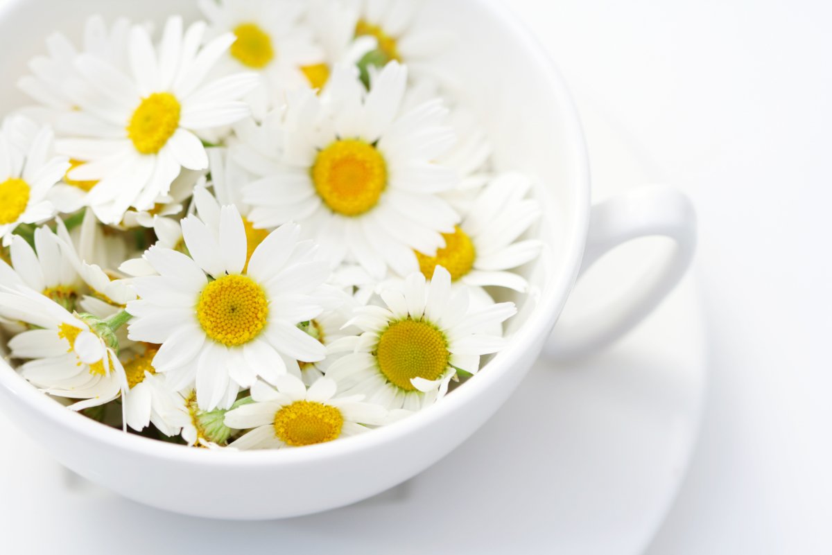 Чай "Ромашка"