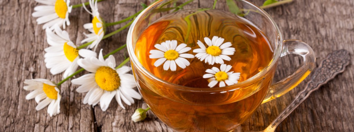 Доброе утро ромашки