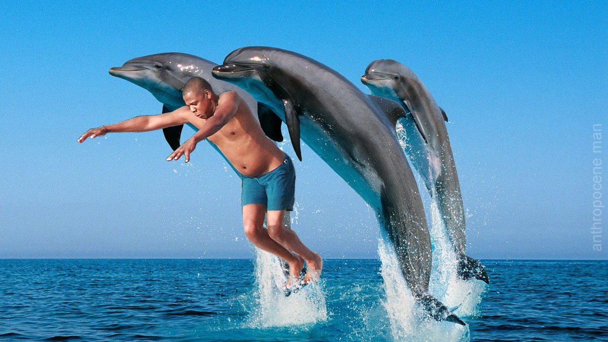 Много дельфинов