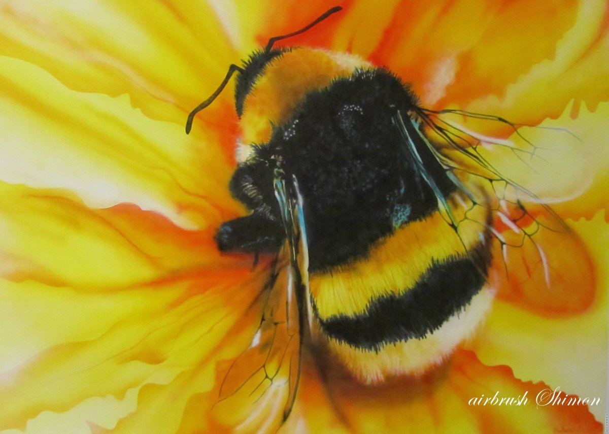 Шмель на цветке