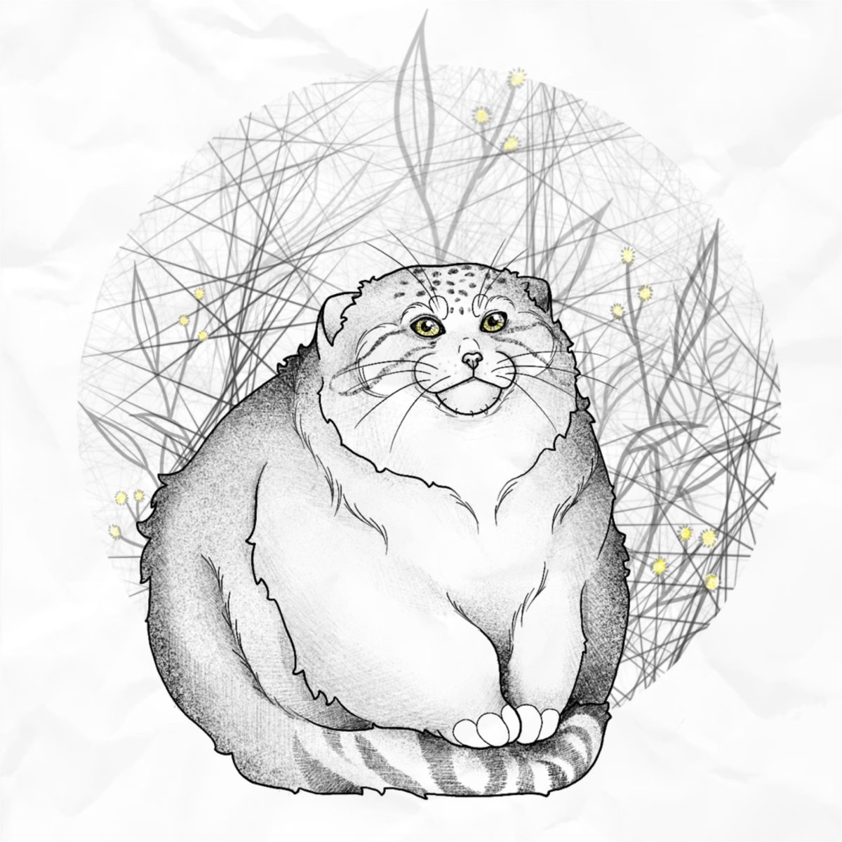 Манул нарисовать