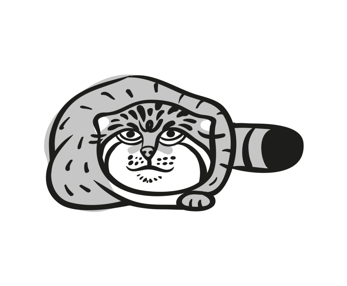 Кот Манул раскраска