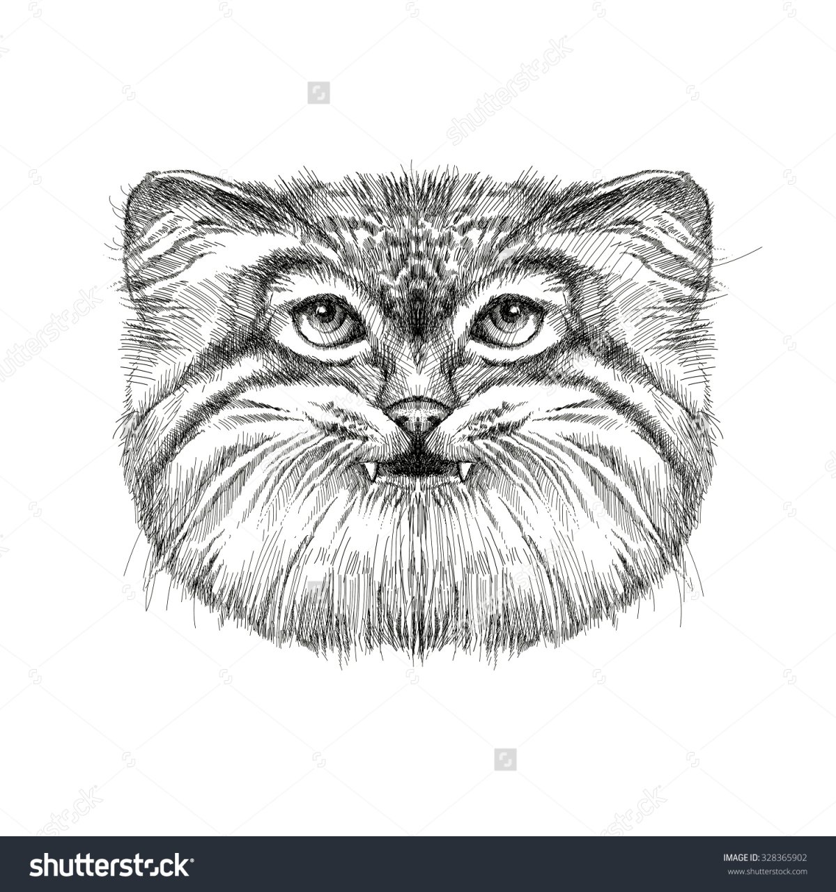 Дикий кот Манул черно белая