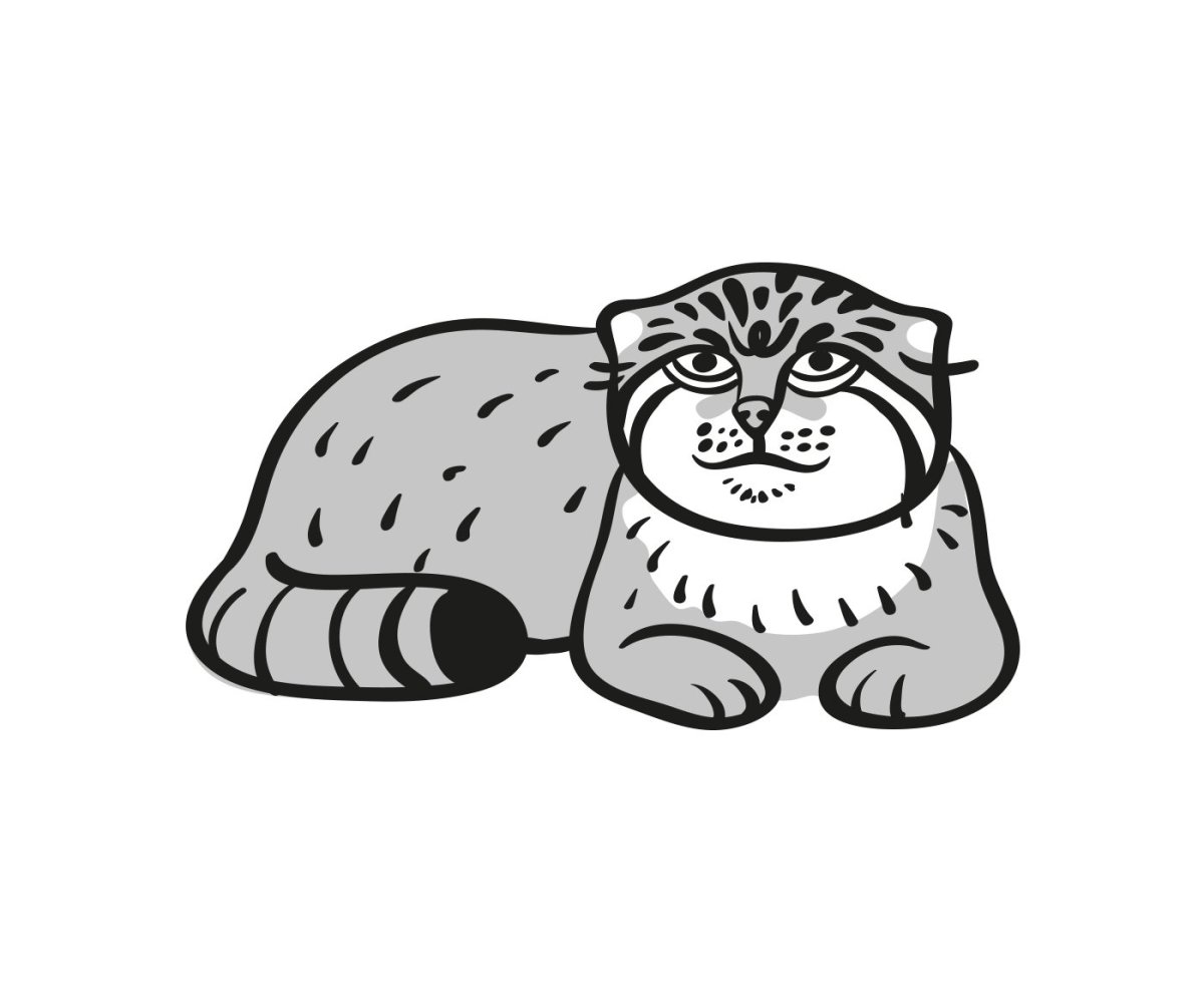 Кот Манул рисунок