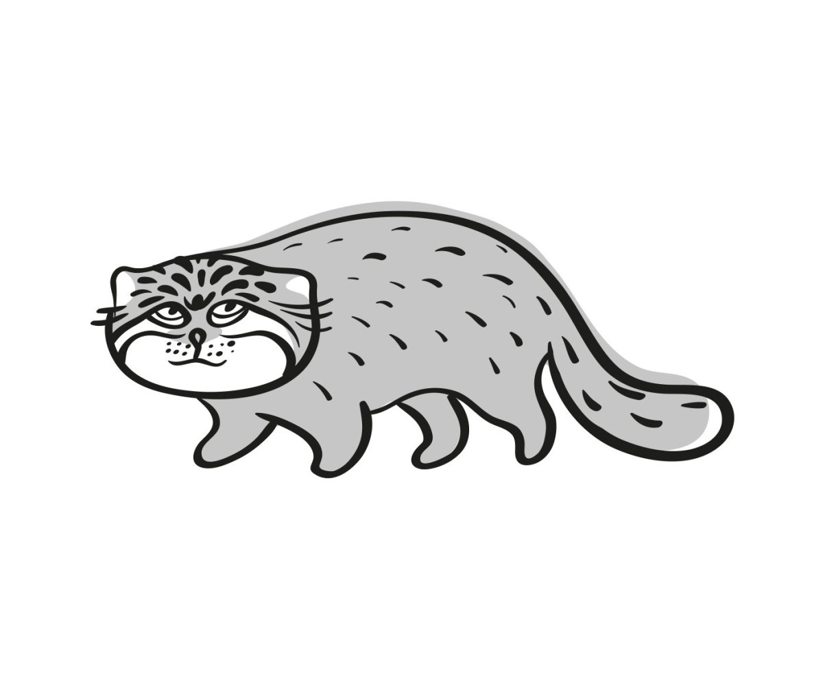 Кот Манул раскраска