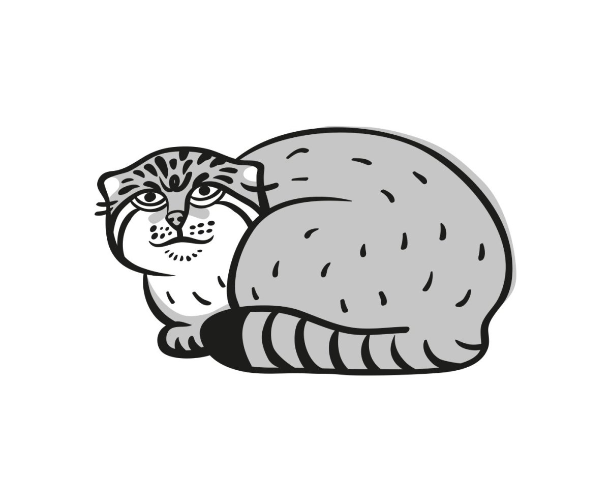 Манул в зоопарке