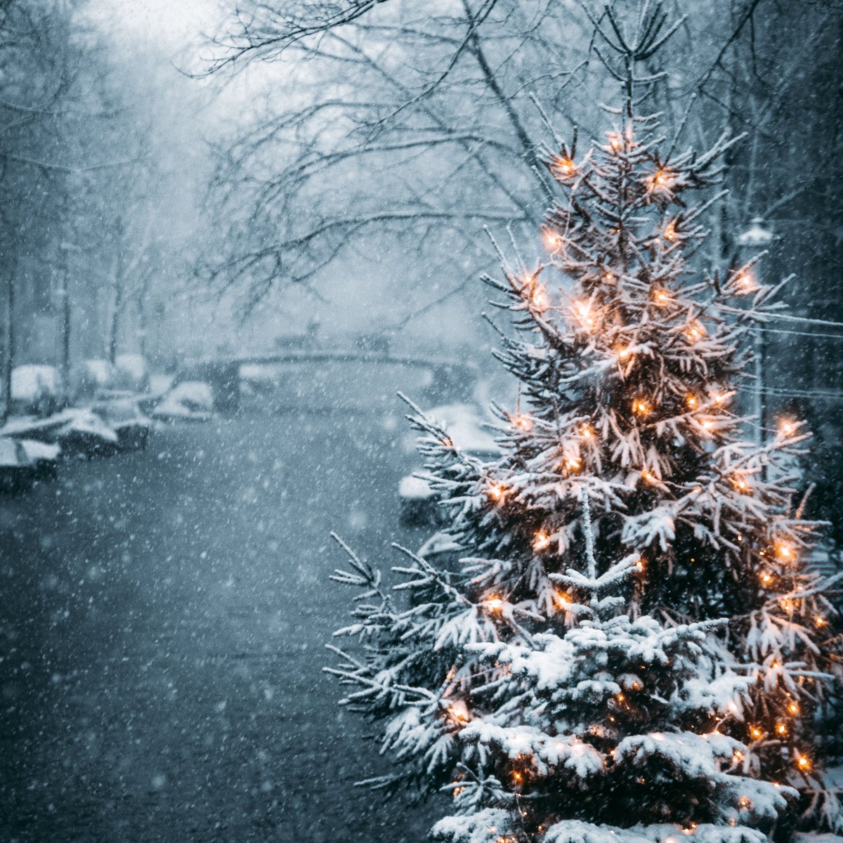 Храм Василия Блаженного Москва зимой