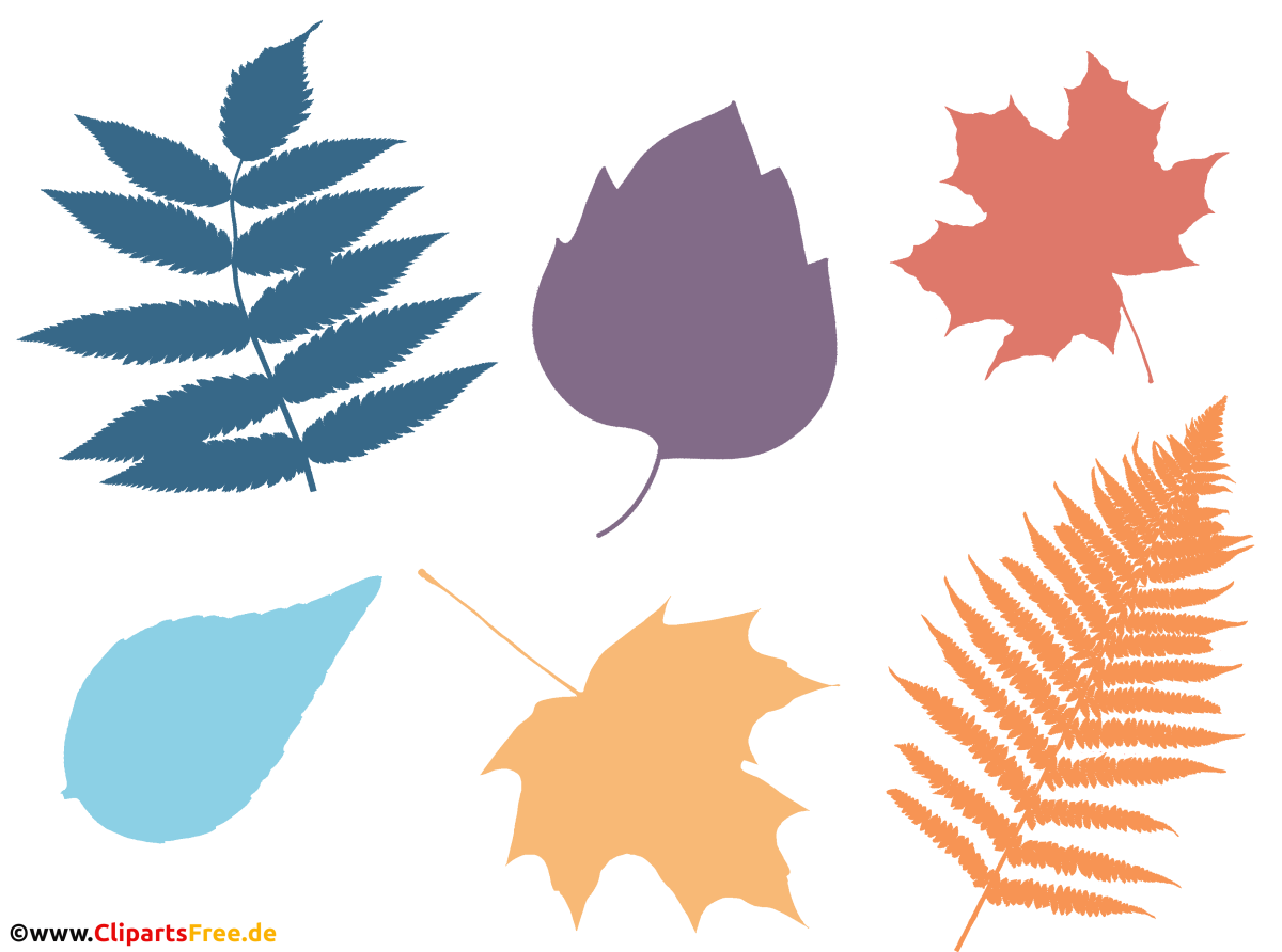 Следы осенью клипарт