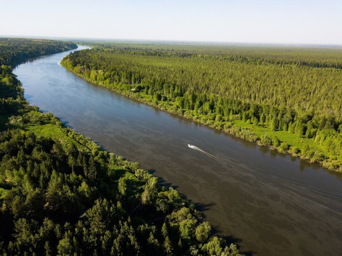 Река Обь на Западно сибирской равнине