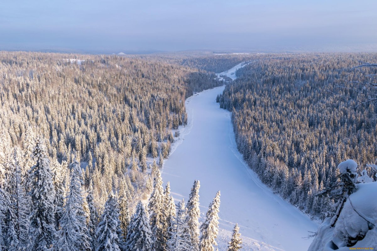 Зимняя Тайга