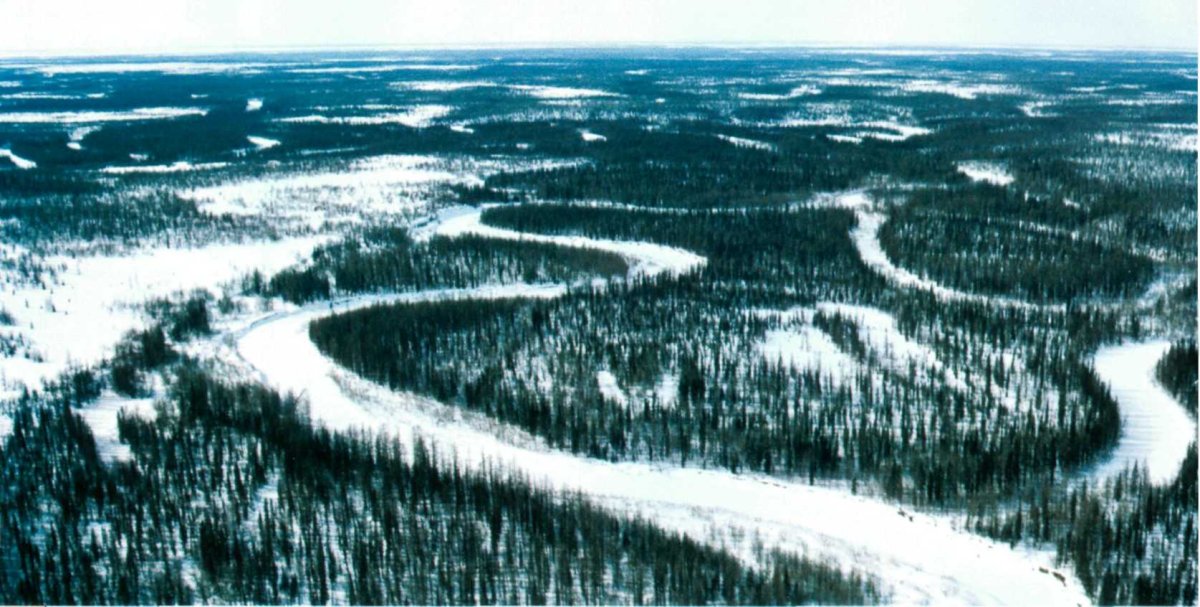 Западно-Сибирская равнина зима