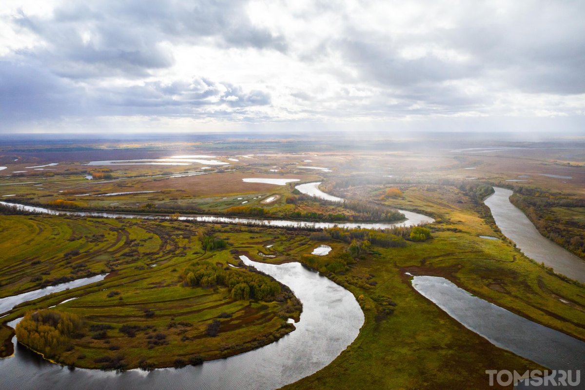 Томский заповедник Васюганский