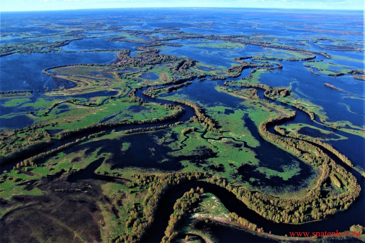 Река Обь ХМАО Исток