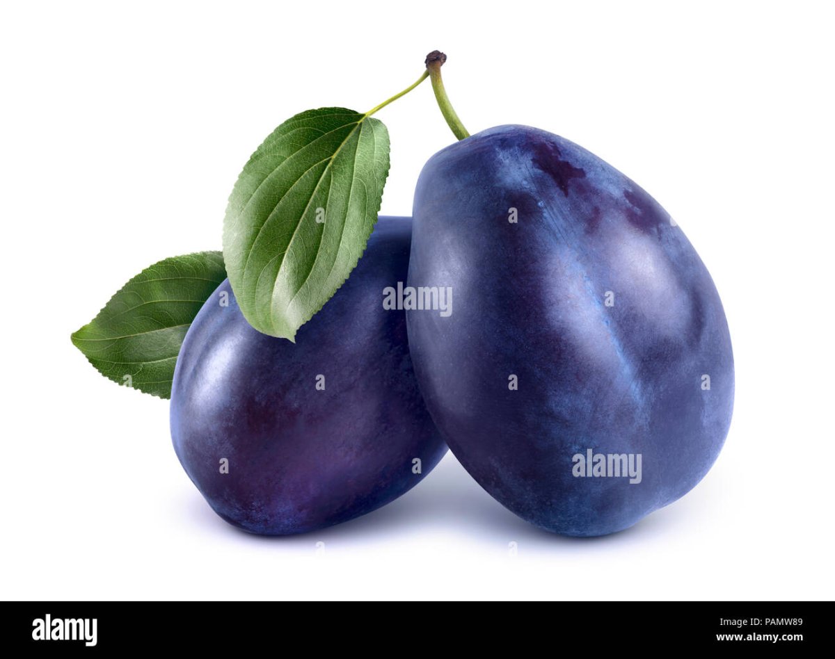 Синие сливы на белом фоне