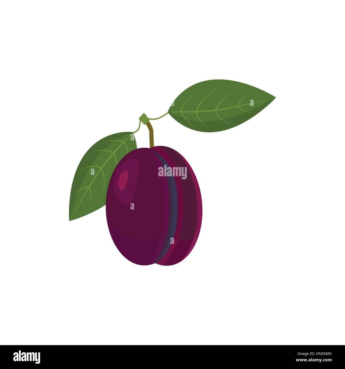 Слива пиктограмма