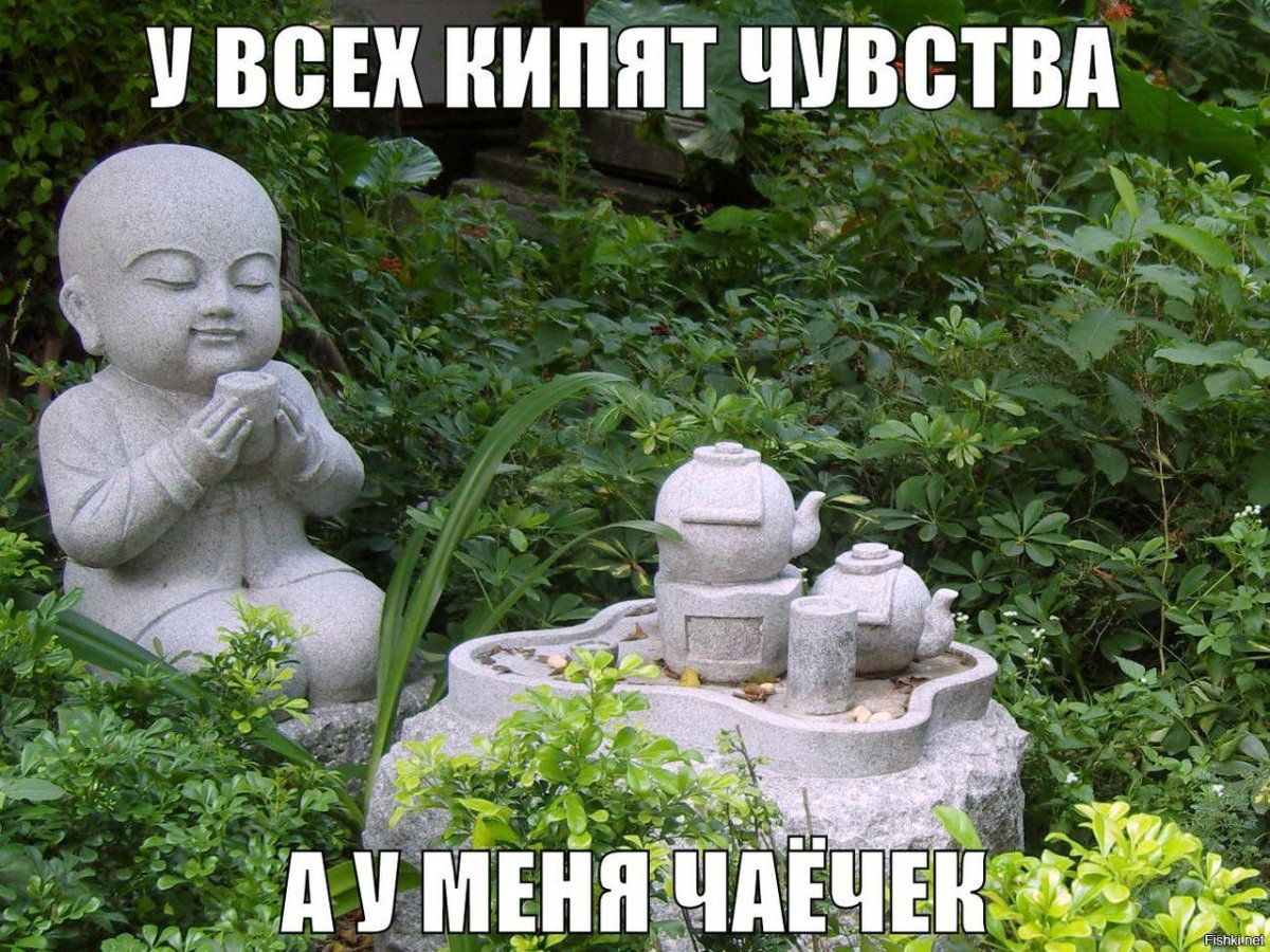 Дзен цитаты