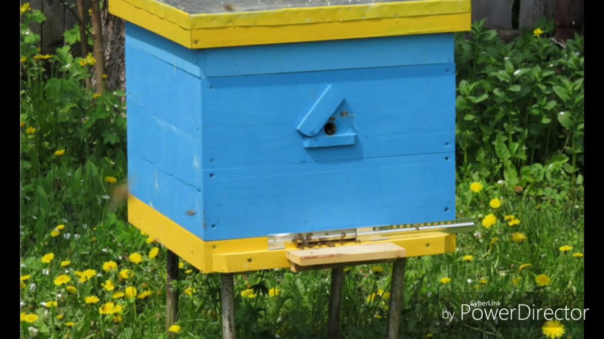 Ульи для пчел
