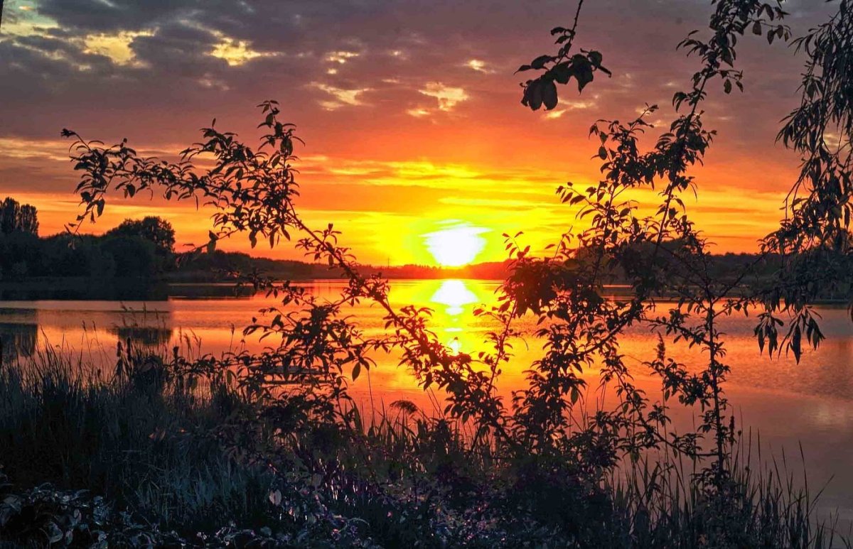 Утренняя Заря