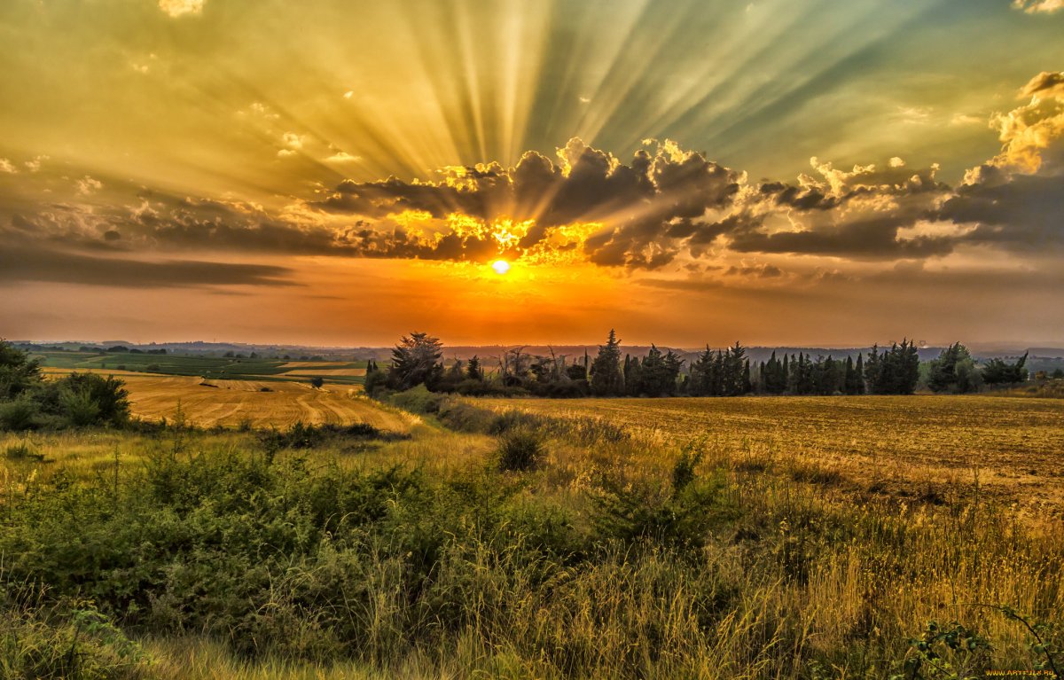 Солнце рассвет