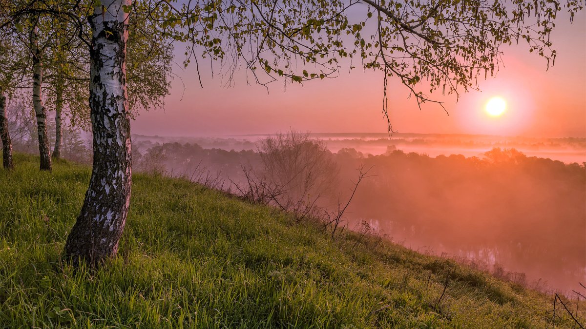 Утро природа