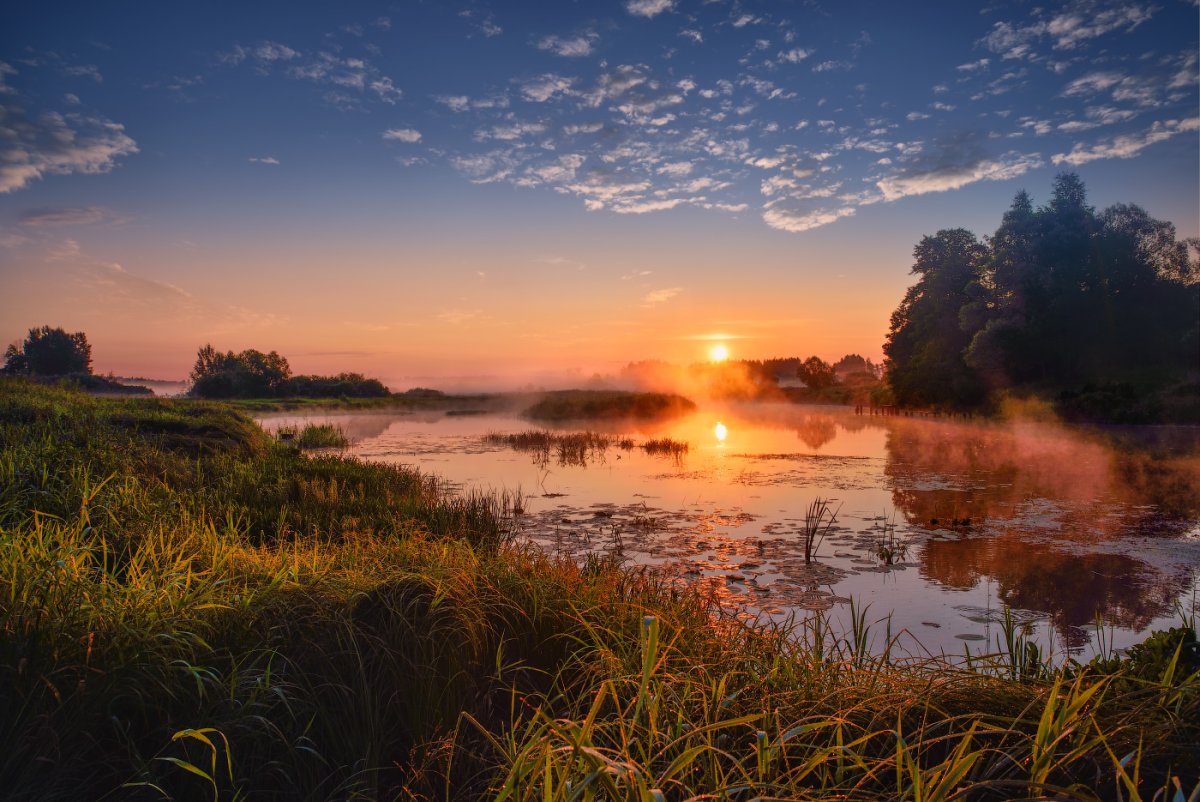 Река Клязьма лето солнце