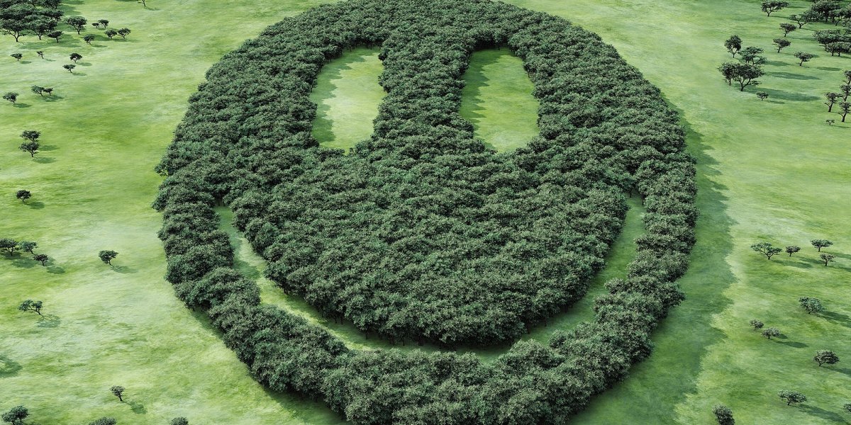 Леса легкие планеты