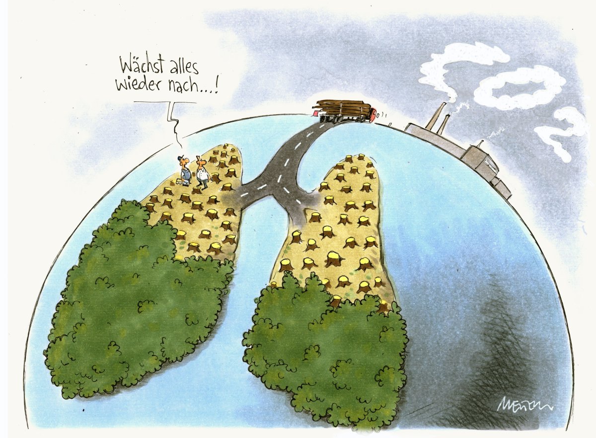 Лес легкие планеты