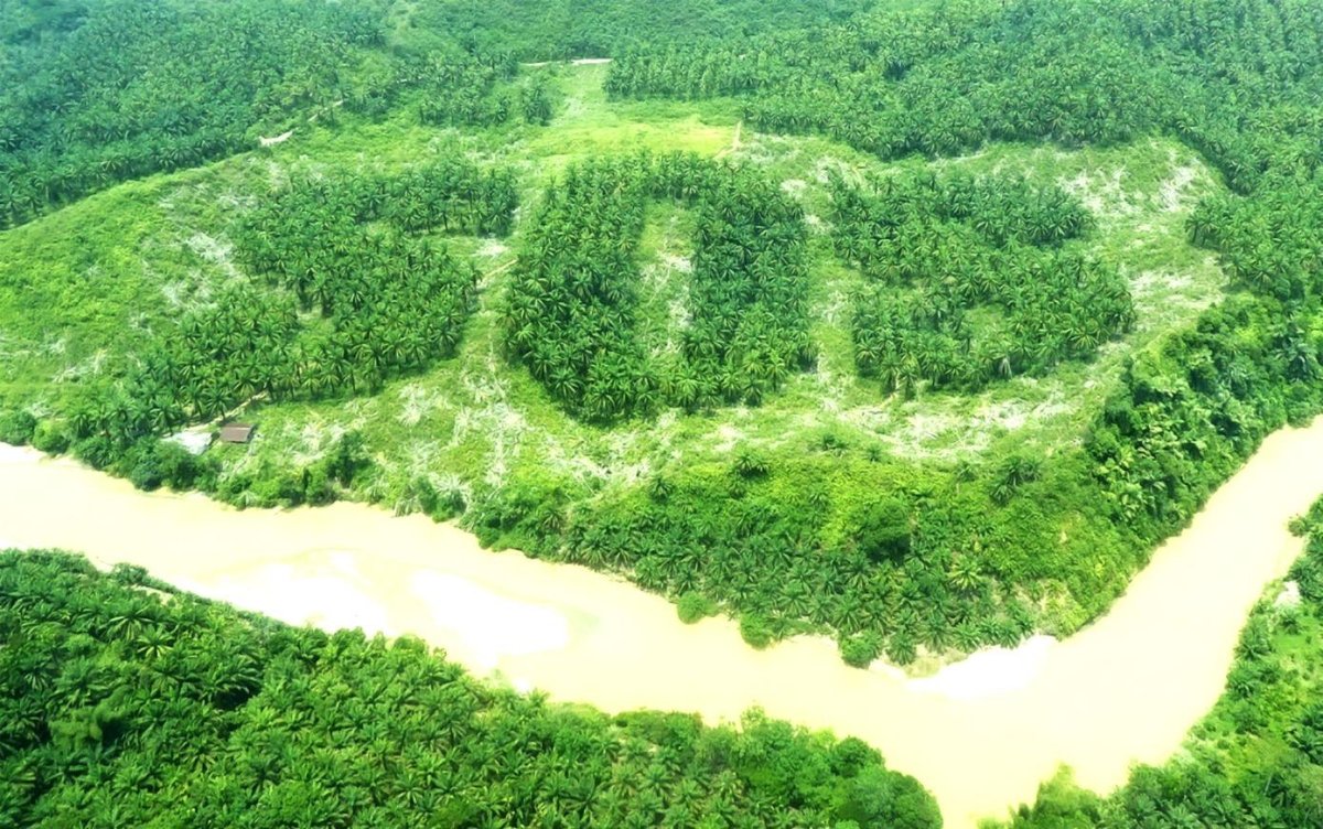 Креативный пейзаж