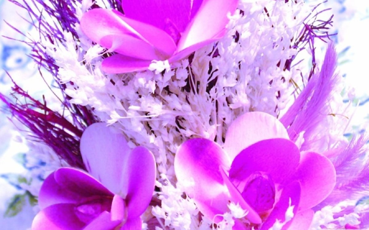 Зимние цветы